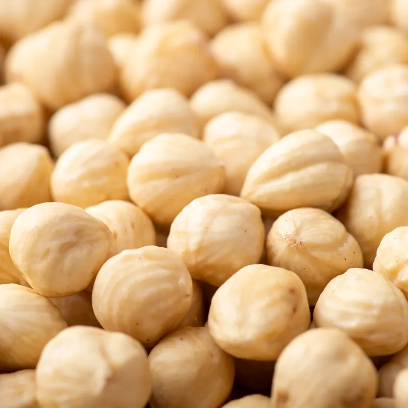 Macadamia